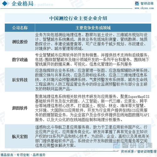 2023年測繪行業(yè)投資熱點及未來發(fā)展趨勢預測報告——聚焦信息系統(tǒng)集成服務